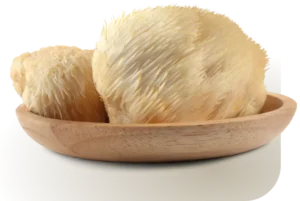 Juba de Leão